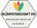Logo_Blüh_hexa_web
